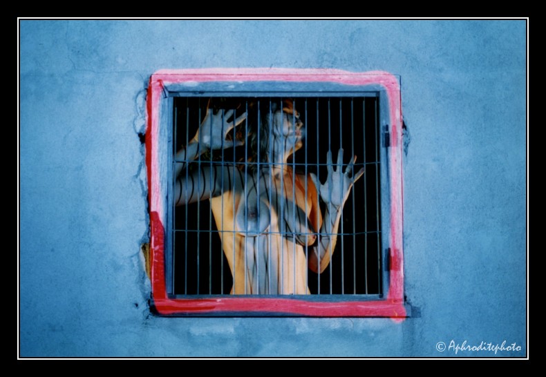 016 Une tigresse en cage